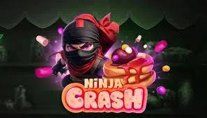 Ninja Crash